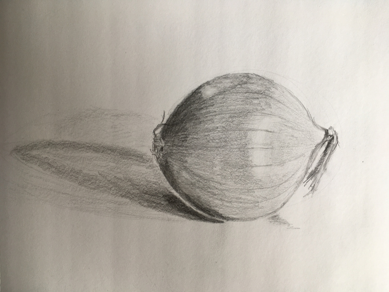 Onion tonal drawing